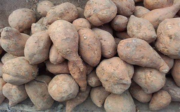 薯渣烘干機如何順利過環評